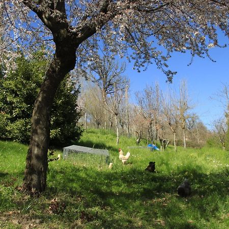 B&B Ride Appennino Montefiorino Exterior foto
